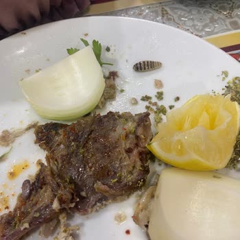 Z&R İşkembe Yemekten Çıkan Kurt