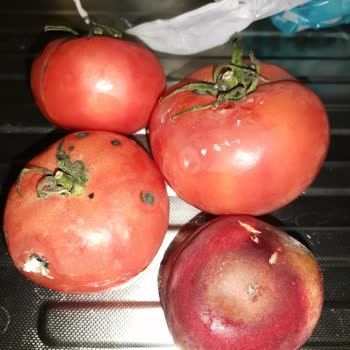 Profilo Malının Arkasında Durmuyor