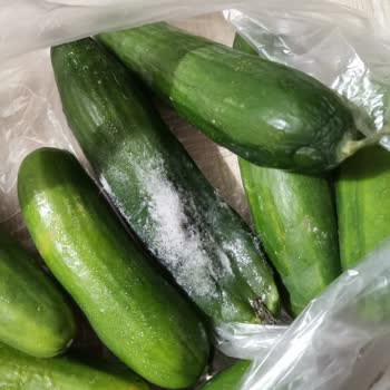 Profilo Malının Arkasında Durmuyor