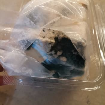 Profilo Malının Arkasında Durmuyor