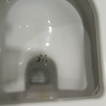 Beylikdüzü Liman Total Benzin İstasyonu Tuvalet Skandalı