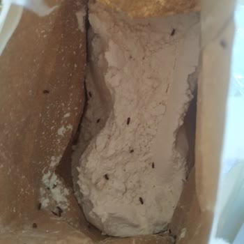 Onur Market Ürünün İçinden Onlarca Böcek Çıkması