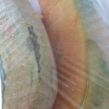 Migros Geç Teslimat, Personel Davranışı Sorunu Ve Ürün Kalitesizliği