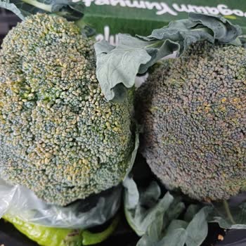 Migros Tarihi Geçmiş Yumurta, Taze Olmayan Sebze