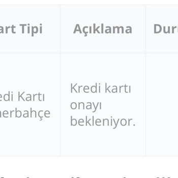 Passolig Kredi Kartı Onayı