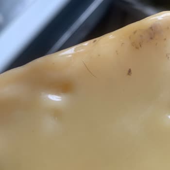 Zümran Ömür Çiftliği Ürün Ambalaj İçinde Kıl