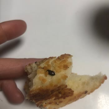 Taşkent Fırın & Cafe Üründen Çıkan Böcek