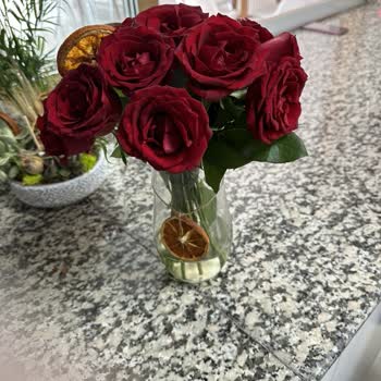 Taze Çiçek (tazecicek.com) Görselle Alakası Olmayan Çiçek