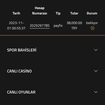 PiyonBet Para Verme Konusunda Sorun