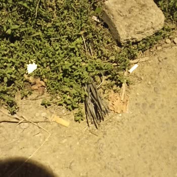 SEDAŞ Elektrik Tellerinin Yüzeyde Kalması