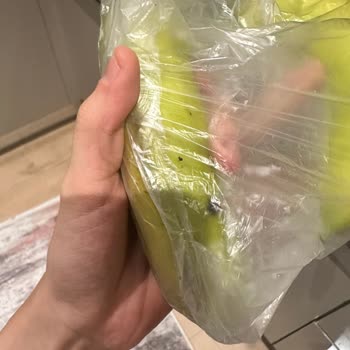 Migros Siparişlerinden Gelen Böcekler!