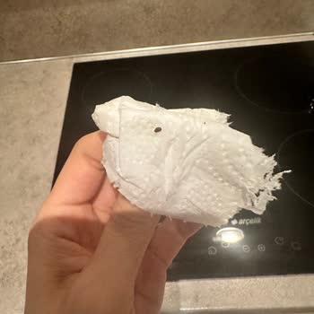 Migros Siparişlerinden Gelen Böcekler!