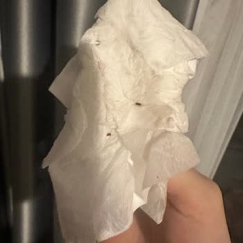 Migros Siparişlerinden Gelen Böcekler!