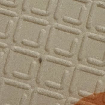 Migros Siparişlerinden Gelen Böcekler!