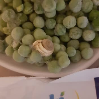 Muti Gıda Büyük Bir Hayal Kırıklığı: Bezelye İçerisinde Salyangoz