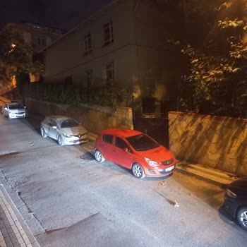 İBB - İstanbul Büyükşehir Belediyesi Tüm Canlıların Ölümünü Durdurmanız İçin Acilen Kasis, Tümsek Talebi
