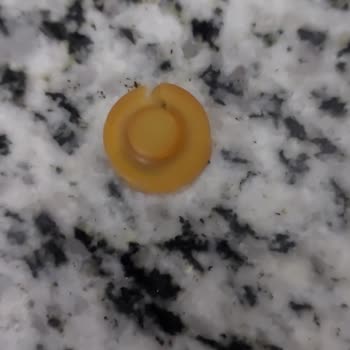 Aryıldız Düdüklü Tencere Kapağı Contası