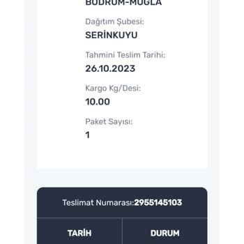 Aras Kargo Teslim Edilmeyen Ürün