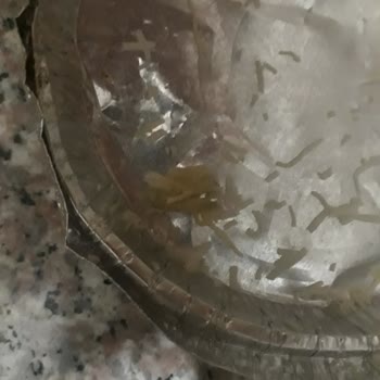 Sam Künefe Küf Çıkması A-101