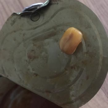 Tukaş Barbunya Pilaki İçinden Farklı Ürün Çıktı