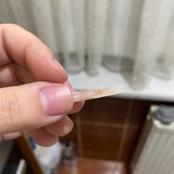 Dardanel Kemik Çıkan Ton Balığı