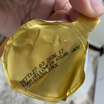 Dardanel Kemik Çıkan Ton Balığı