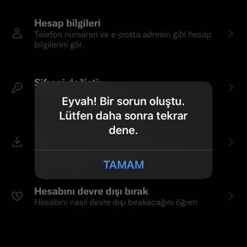 Twitter Hesabım Bozuldu Ya Da Kilitlendi