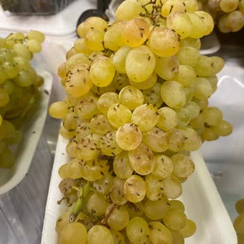 Happy Center Çalışanları Ve Sorumsuzlukları