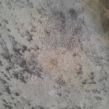 Artemis Hali Yıkandıktan Sonra