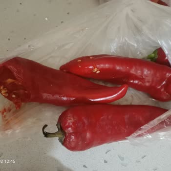 Migros Hemen Küflenmiş Sebze Satma Problemi