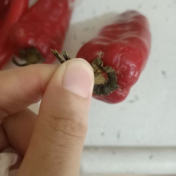 Migros Hemen Küflenmiş Sebze Satma Problemi