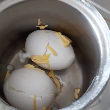 Migros'tan Aldığım Bozuk Yumurta