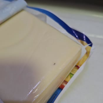 İçim Tost Peynirinden Çıkan Yabancı Cisim
