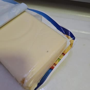 İçim Tost Peynirinden Çıkan Yabancı Cisim