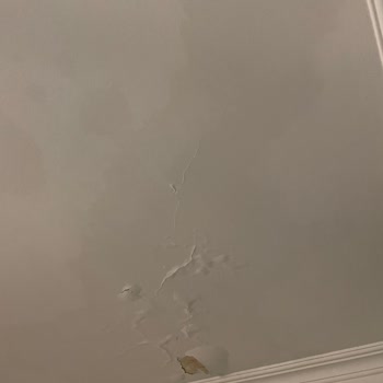 Allianz Sigorta Sorun Yaşama