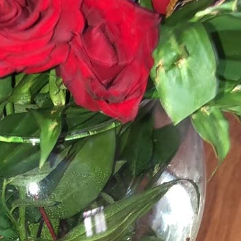 Çiçek Sepeti Kötü Çiçek Gönderildi