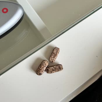 Argivit Smart Tablet Kısa Sürede Renk Değiştirdi Ve Bozuldu