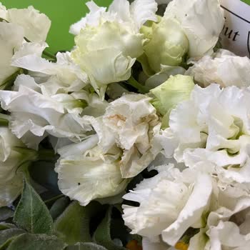 Çiçek Sepeti 356236529 Numaralı Siparişimin İçleracısı Durumu