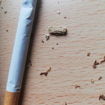 Camel Brown Sigaranın İçinden Tahta Odun Parçası Çıkıyor.!