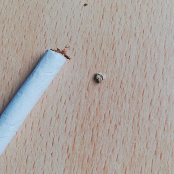 Camel Brown Sigaranın İçinden Tahta Odun Parçası Çıkıyor.!