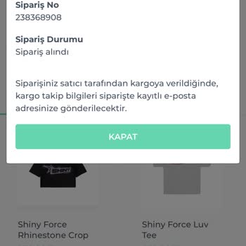 Shiny Force Kargolamıyor Haftalardır Bekletiyor