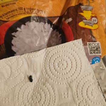 Feast İçinden Sinek Çıktı