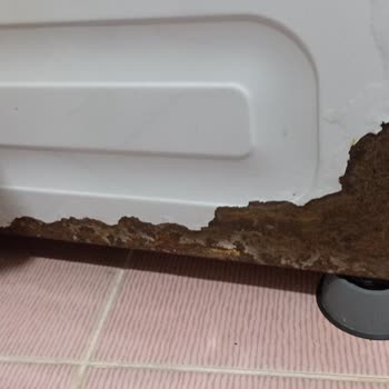 Arçelik Çamaşır Makinesi Çürümesi