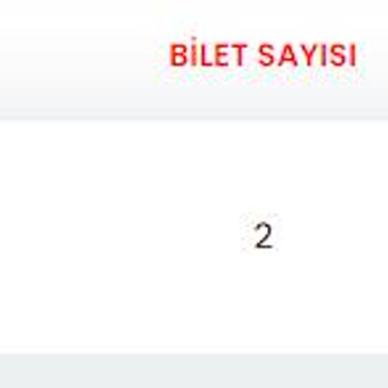 Biletalsat Biletler Gelmedi