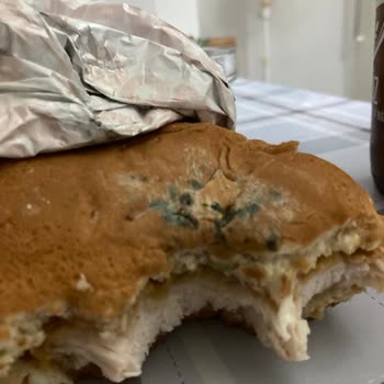 Popeyes Yeni Ürün Veya Para İadesi