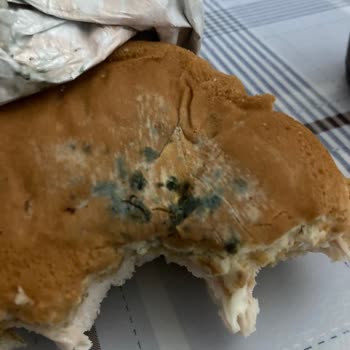 Popeyes Yeni Ürün Veya Para İadesi