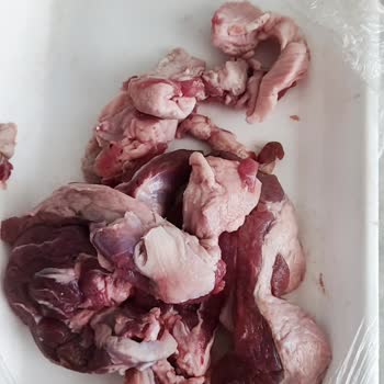 Migros'tan Aldığım Kuzu Külbastı Hakkında