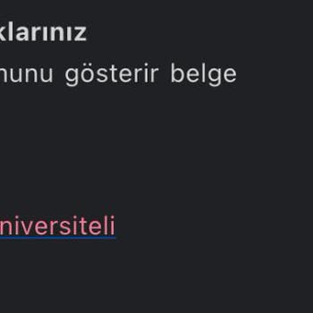 İBB - İstanbul Büyükşehir Belediyesi İstanbul Genç Üniversiteli Bursu