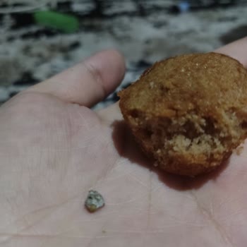 Ülker Dankek Lokmalık Tarçınlı Kekten Taş Çıktı