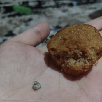 Ülker Dankek Lokmalık Tarçınlı Kekten Taş Çıktı